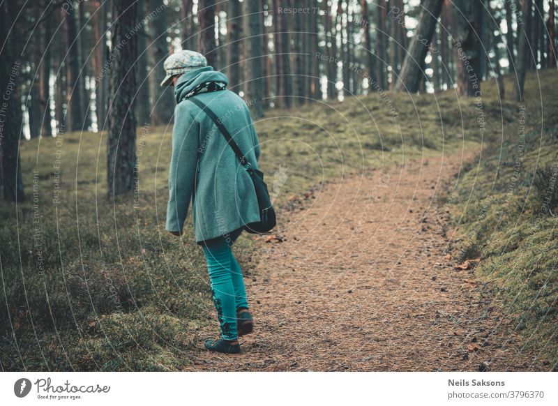 woman walking in the woods near Baltic sea female coat hat blue green forest coniferous pines pine cones pine needles trail pathway winding road observing moss
