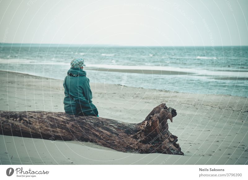 woman sitting on a tree trunk at the beach watching waves person female beautiful lifestyle relax adult hat coat blue Tree trunk old tree washed sand sea