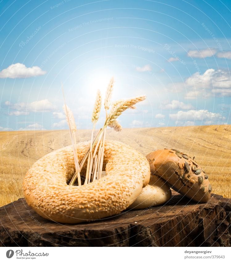 Bread and wheat cereal crops Roll Beautiful Life Art Nature Landscape Plant Sky Brown Yellow Gold Black Tradition Wheat Blue sky Cereal Bakery Rural Organic