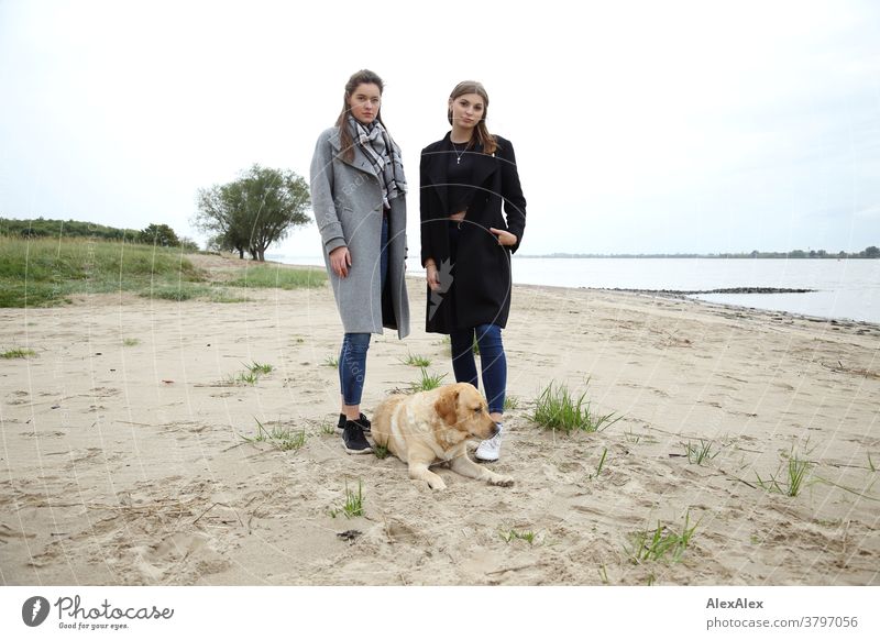 Portrait of two young women - girlfriends - at the Elbe beach with blond Labrador Woman Young woman 18-25 years warmly pretty Charming Slim Brunette long hairs