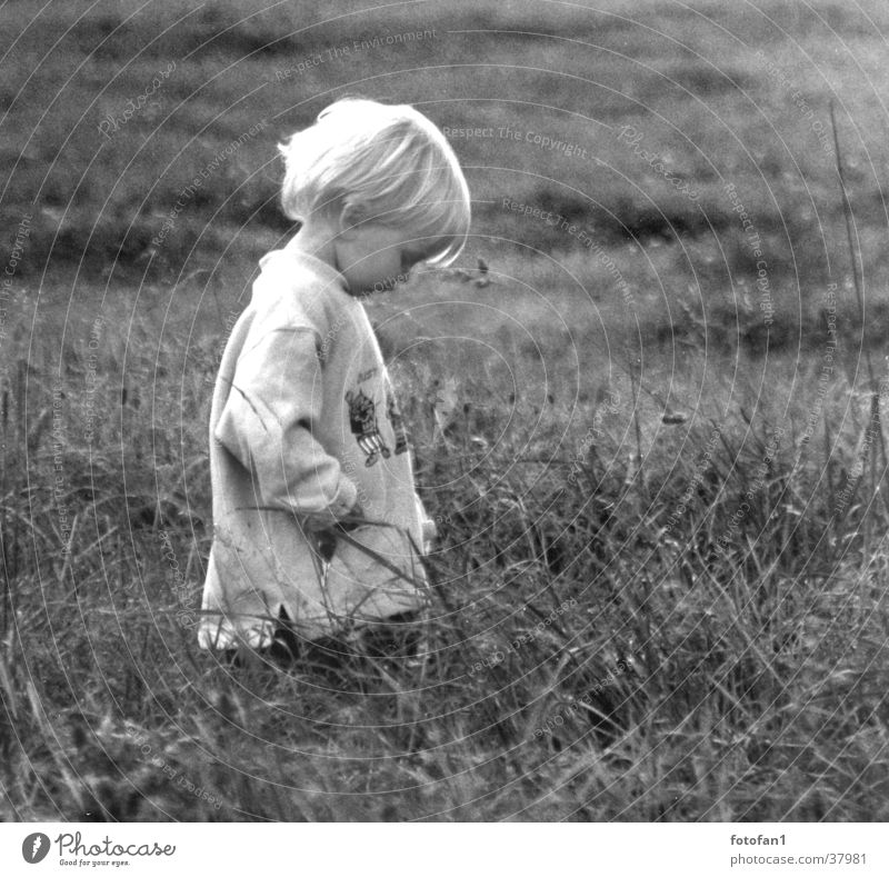 sad? Child Grief Meadow Blonde Back-light Think Dreamily Grass Sadness Loneliness Black & white photo Boy (child) Hair and hairstyles