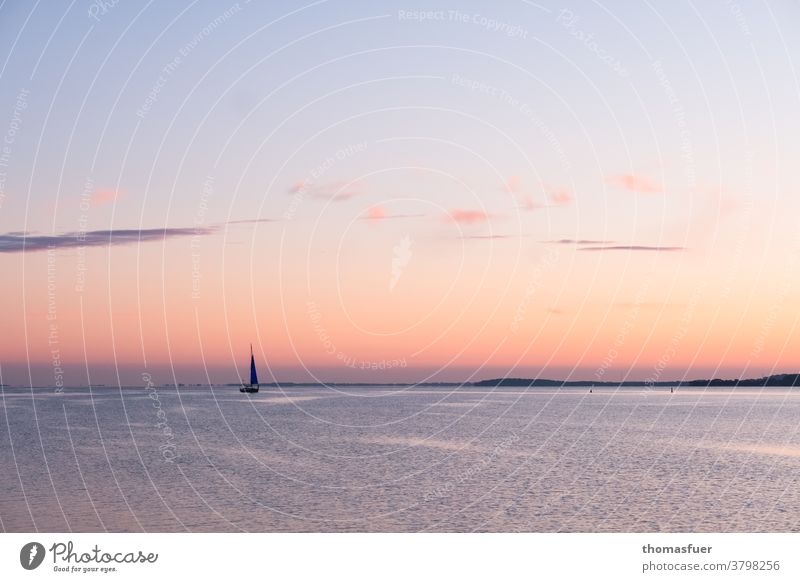 Sailing boat in front of pastel coloured sky at dusk melancholy Romance Sailboat Ocean Vacation & Travel Sky Horizon Sunset Beautiful weather coast Baltic Sea