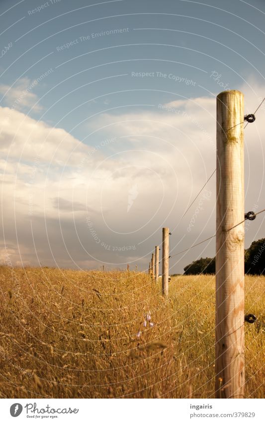 Boundless? Nature Landscape Plant Earth Air Sky Clouds Storm clouds Summer Weather Grass Meadow Field Fence post Pasture Wire Wire fence Wood Metal Illuminate