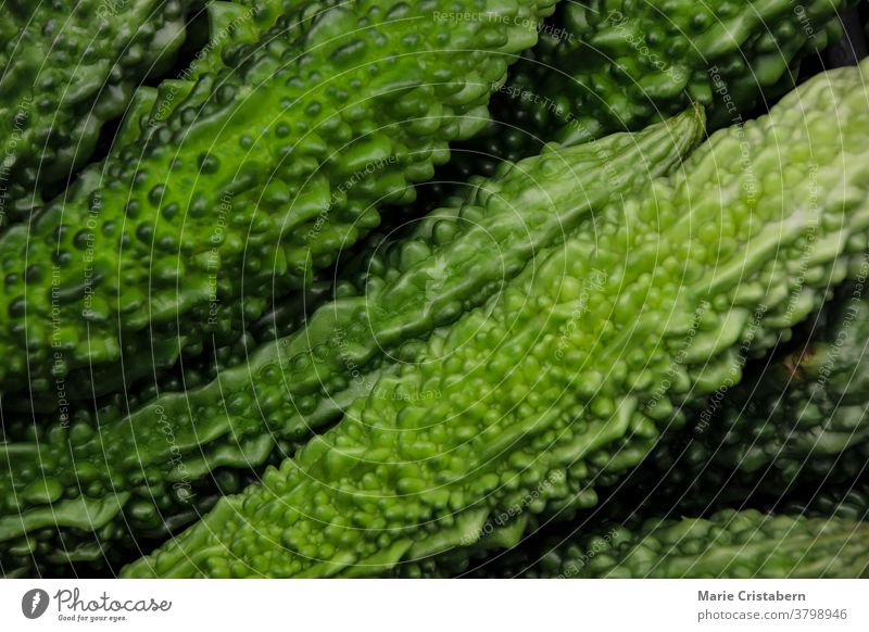 Close up of the texture and pattern of Bitter gourd green bitter gourd vegetable background healthy organic raw fresh natural