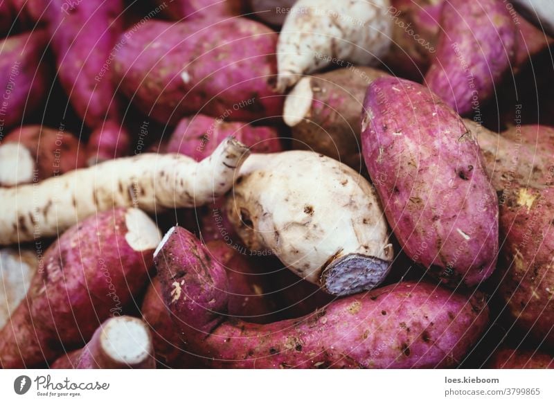 Detail of purple sweet potatoes and white root vegetables in a local market in Merida, Yucatan, Mexico detail agriculture raw fresh food produce organic