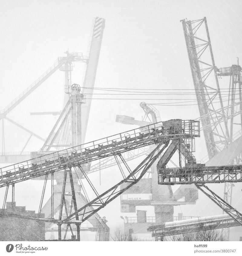 Winter atmosphere in the harbour with snow flurries and fog Dockside crane wharf Winter mood Snowflake Shroud of fog Misty atmosphere Loading pier loading crane
