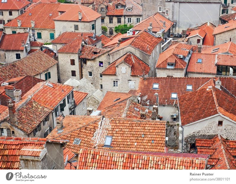 View over the city from the castle of Kotor, Montenegro cityscape historic kotor landscape medieval mediterranean montenegro mountain old old town roof roof top