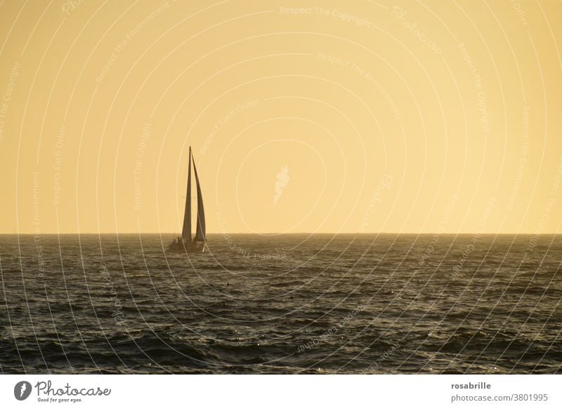 far away | sailboat in the evening light Sailboat Sailing Freedom Far-off places Ocean vacation free time holidays Relaxation Evening Dusk Orange wide endless