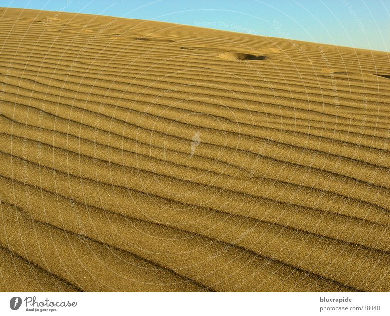 Footprints in dune sand Yellow Grain Sand Desert Beach dune Tracks