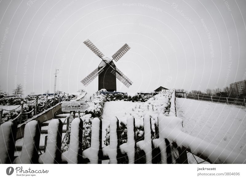 Winter impression with windmill Windmill Historic Landmark Culture Hill Marzahn Cold Snow Untouched White Bushes Bad weather lattice fence bock windmill