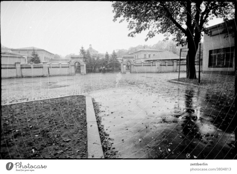 Jewish cemetery, Berlin Cemetery Lake Weißensee Autumn Rain Wet sad Gloomy melancholy cobblestone pavement Arch Places Entrance Portal Architecture