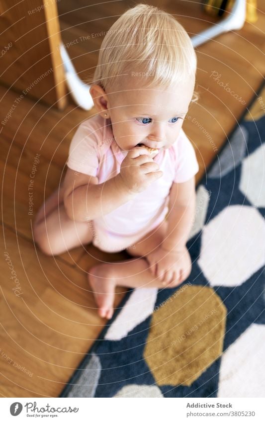 Cute baby girl eating on floor cookie adorable home innocent comfort relax babyhood sweet rest toddler child blond blue eyes cute enjoy calm peaceful apartment