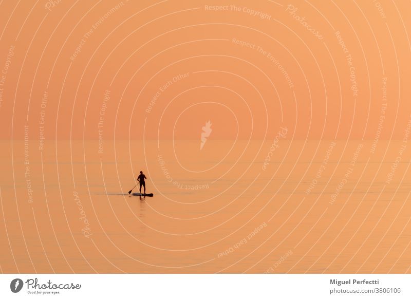 Silhouette of lonely person practicing paddle surfing on a lonely beach at sunset. Beach Paddle surf Surf Lonely Shore Orange Sunset Autumn Horizon Sport Rowing