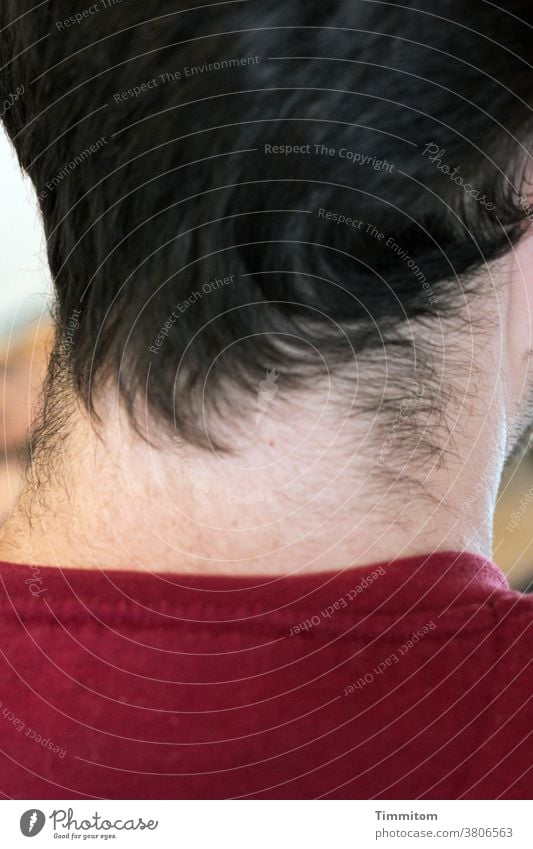 neck hair - man, young neck hairs Hair and hairstyles Nape Man youthful Human being Skin Neck Colour photo Rear view Exterior shot