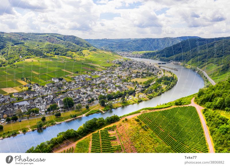 a mosel river vineyard valley in germany mosel river valley mosel in germany german towns german vineyard whine vine yard whine plants grape plants grapes