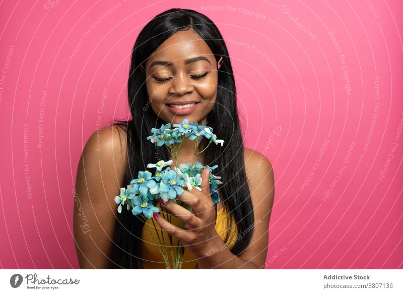 Delighted young ethnic woman smelling flowers in pink studio smile happy blossom delicate gift fresh portrait elegant cheerful joy female african american black