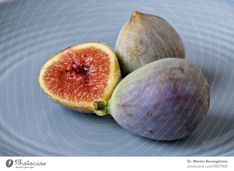 Figs, on blue ceramic plate, Fig variety Fruit fruit Blue Violet Pottery Tell halved Sliced Fruit flesh Sámen