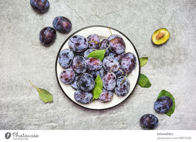 Ripe blue plums on a plate ripe fruit organic sweet food healthy freshness autumn purple delicious vegetarian raw nature summer dessert agriculture juicy