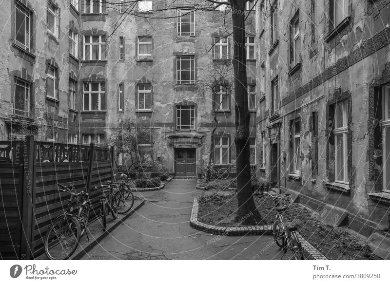 Backyard Berlin b/w Old building Tree Wheel Bicycle black/white Black & white photo B/W Window Architecture Town House (Residential Structure) Gray city