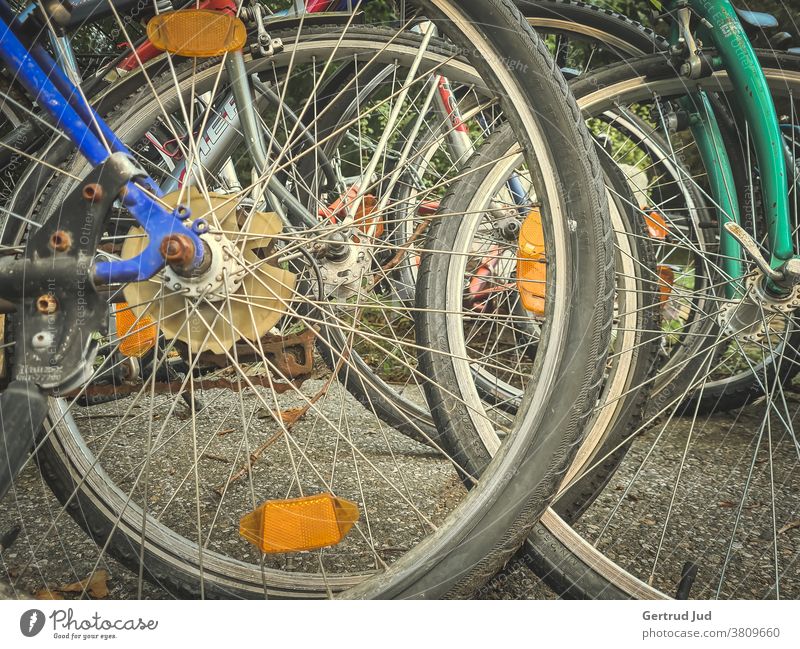 Old bicycles in wild order Bicycle Vehicle Exterior shot Colour photo Deserted Means of transport Cycling Rust Leisure and hobbies Tire