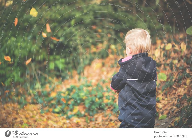 Toddler in autumn outside in nature Child Autumn foliage Nature Forest Observe time of year Autumnal leaves To go for a walk