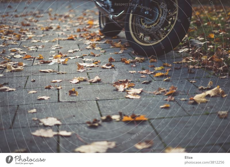 A motorbike stands on the sidewalk, surrounded by autumn leaves Motorcycle Autumn off Wheels Herbtlaub foliage Autumnal Sidewalk Motorcycling