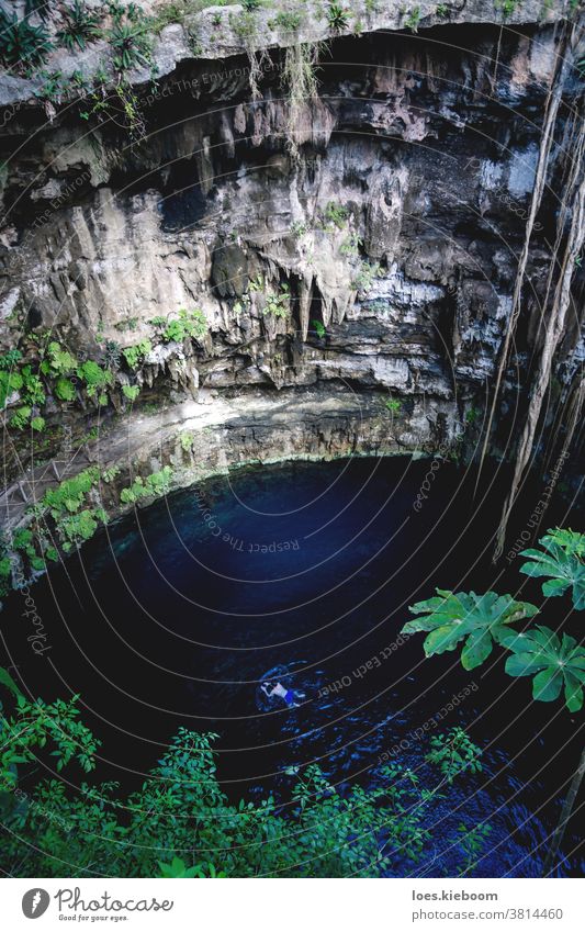 Person swimming in Oxman cenote with blue water and tropical plants in the cave, Yucatan, Mexico oxman adventure mysterious mystery natural paradise pond pool
