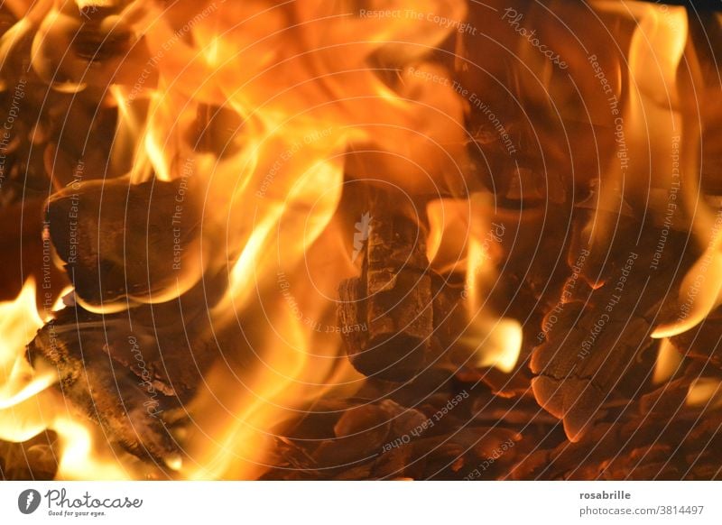 Fire | Trash 2020 Embers campfire Hot Burn Near Dangerous peril incinerate sb./sth. Flame blaze Wood Coal char charred Warmth warm ardor Heat heat Energy