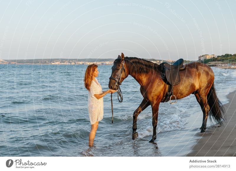 Woman in white dress caressing her horse on the seashore at sunset woman beach horseback summer equine love cool equestrian pet recreation ride rider romantic