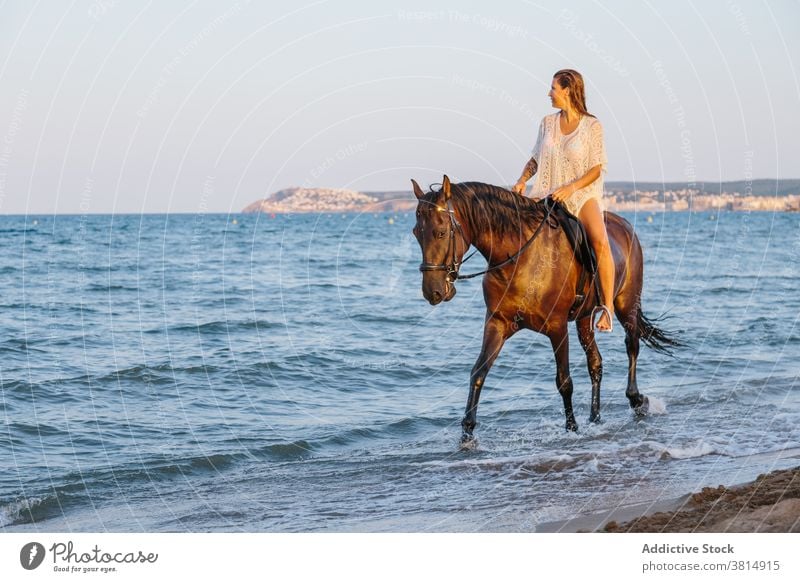 Beautiful woman in white dress riding a horse along the seashore at sunset beach horseback summer equine love cool equestrian pet recreation ride rider romantic