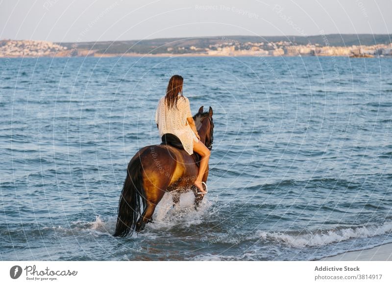 Beautiful woman in white dress riding a horse along the seashore at sunset beach horseback summer equine love cool equestrian pet recreation ride rider romantic