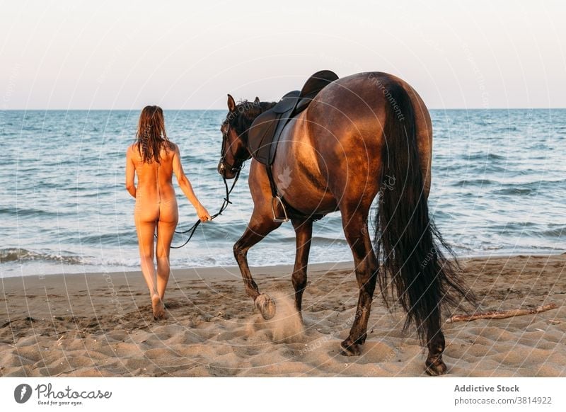 Beautiful nude woman walking on the beach with her horse at sunset sea horseback naked summer equine love cool equestrian pet recreation ride rider romantic