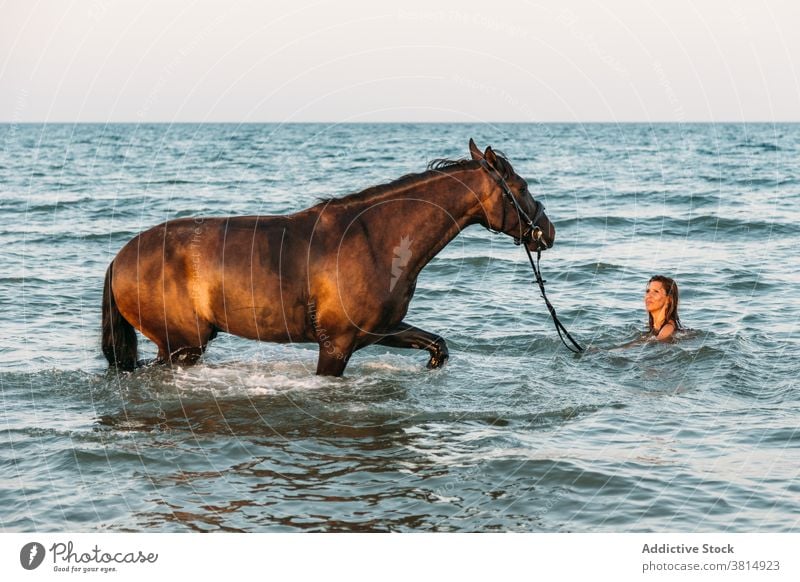 Beautiful woman bathing with her horse in the sea at sunset beach horseback summer equine love cool equestrian pet recreation ride rider romantic solitude