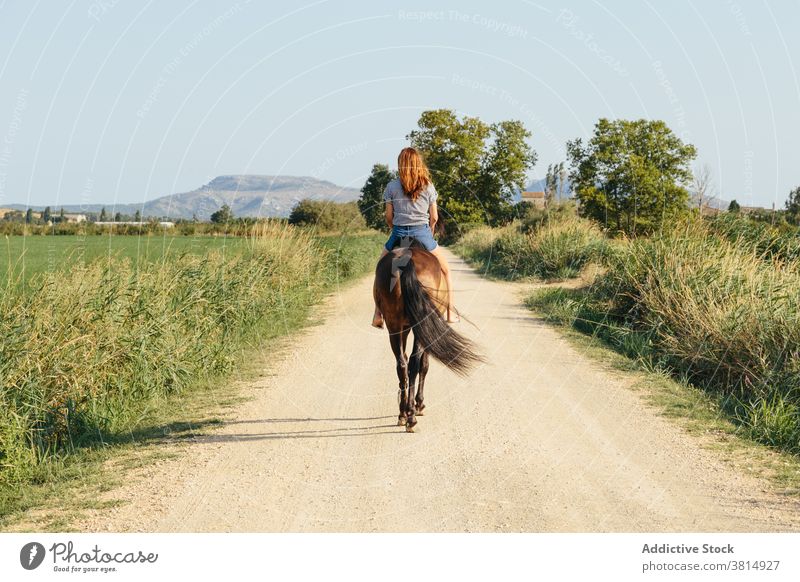 Beautiful woman riding along a country road on a sunny afternoon horse ride horsewoman countryside outdoors lifestyles mammal amazon flower nature