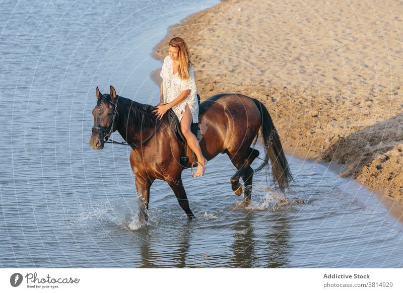 Beautiful woman in a white dress riding a horse crossing a river at sunset horseback summer equine love beach cool equestrian pet recreation ride rider romantic