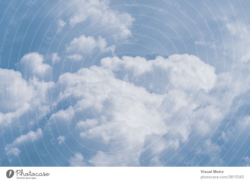 Background of soft cumulus clouds in a sunny day sky white blue background climate nature heaven weather atmosphere smooth outdoors cloudscape cumulonimbus