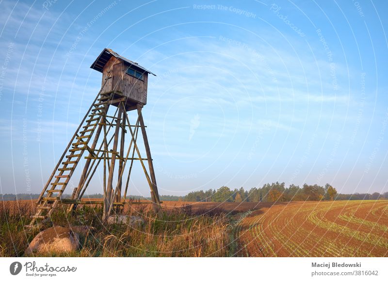 Elevated wooden hunting blind on a field in early morning. pulpit stand tower agriculture rural landscape nature scenery hide sky no people meadow elevated