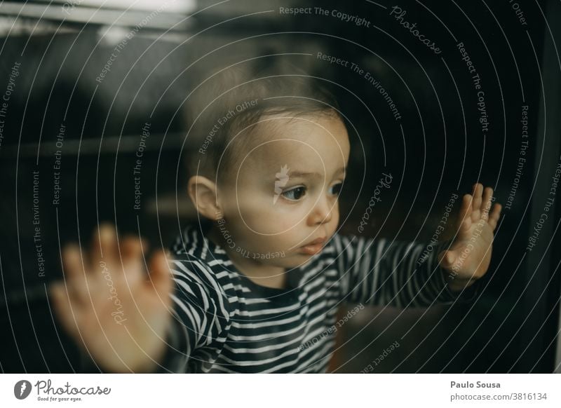 Toddler looking through the window Caucasian 1 - 3 years Child at home through window Window Glass Colour photo Infancy Interior shot Human being Boy (child)