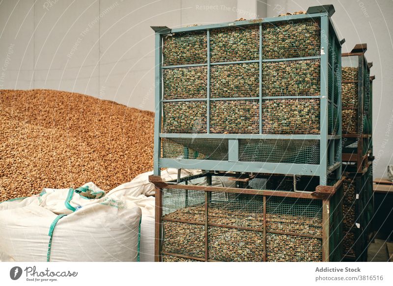 Various grains stored in containers in warehouse storehouse wheat factory facility agriculture sack box industry production industrial organic storage plant