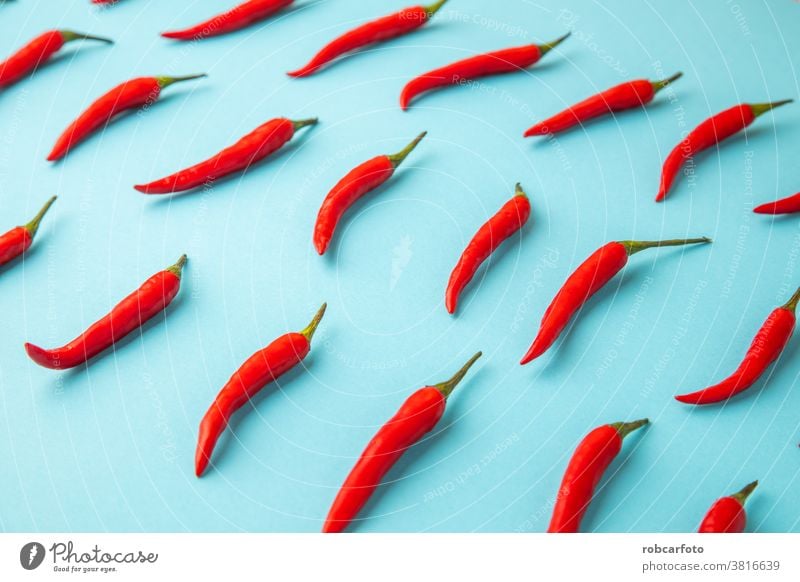hot red chili, on blue background - a Royalty Free Stock Photo from  Photocase