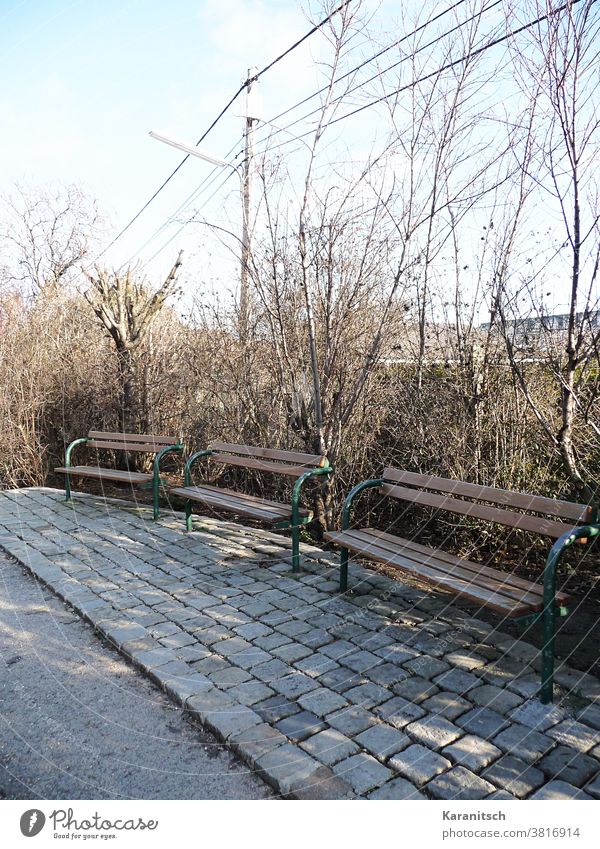 Three park benches in front of bare bushes. Bench Park Park bench Sit rest Resting place tranquillity silent Empty Brown Fence Bushes Winter Spring sunny