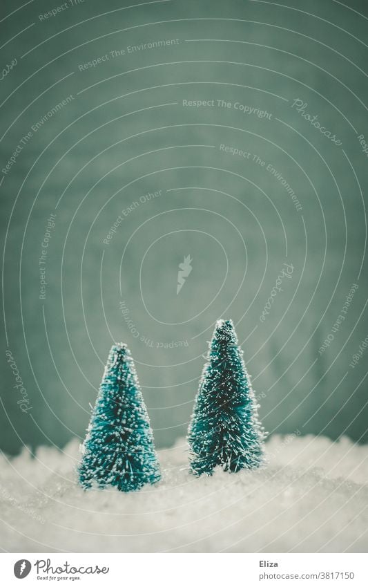 Two fir trees in the snow. Winter and Christmas. Snow winter landscape Tree Cold Seasons Fir tree Blue Snowscape