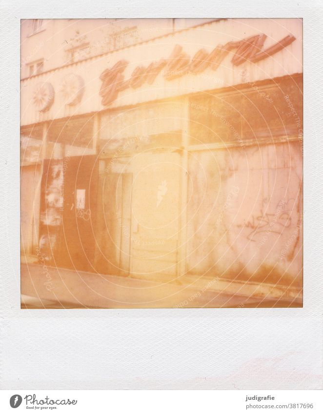 Withered gerbera. Polaroid of a former flower shop. Gerbera writing Typography Neon sign Flower Building Transience Past business Closed Derelict Old