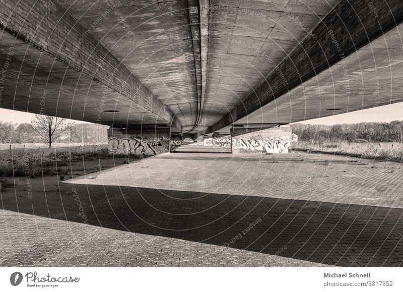 Under a motorway bridge Bridge Bridge construction Black & white photo Shadow shadow cast Concrete stable Bulky Long Curve