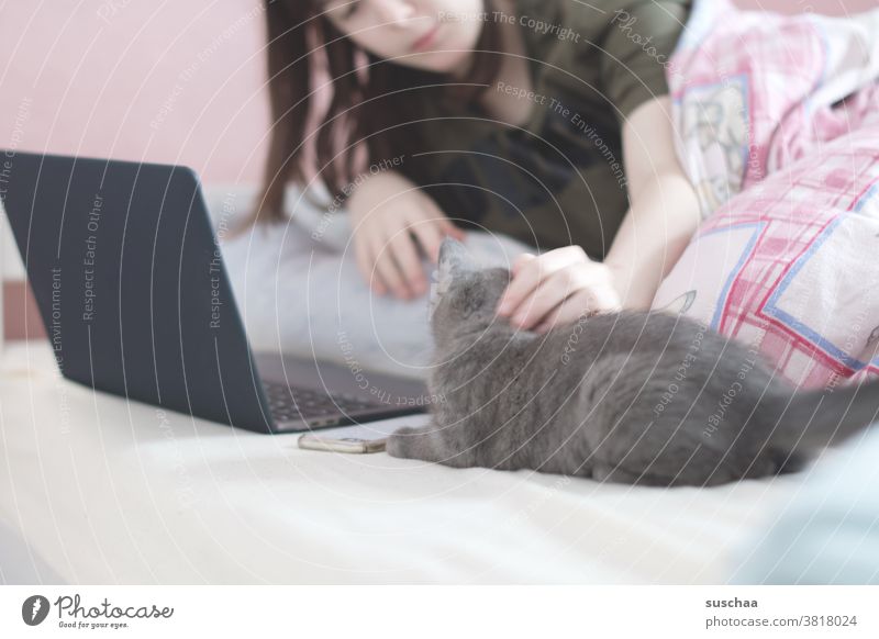 Cat caress hangover Human being Pet Domestic cat Youth (Young adults) Love of animals Caress Hugs Bed laptop Macbook communication