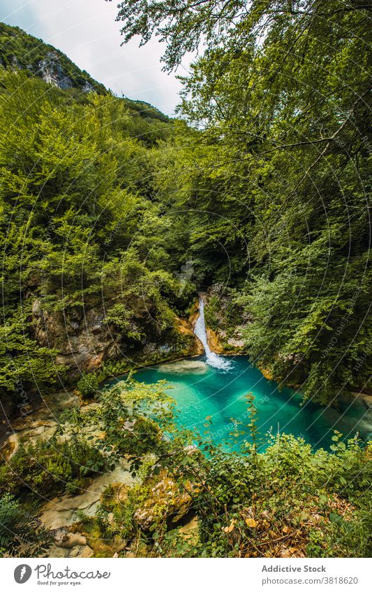 Waterfall and pond in summer forest in daylight waterfall nature highland mountain vegetate environment flow greenery colorful cascade fluid fast motion plant