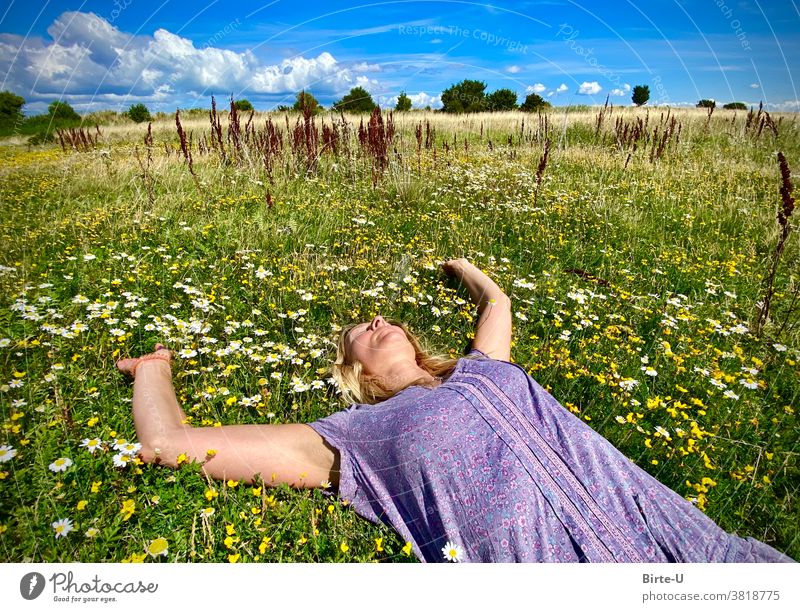 Woman lies in flower meadow Flower meadow Summer Nature relaxation Happy Contentment Joy