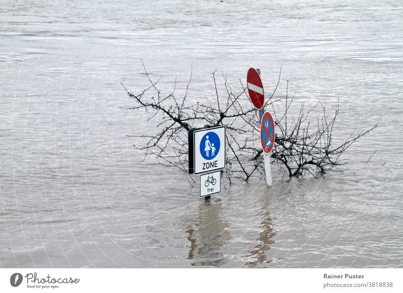 Extreme weather: Flooded pedestrian zone in Cologne, Germany climate climate change cologne disaster extreme weather flood flooded street flooding germany