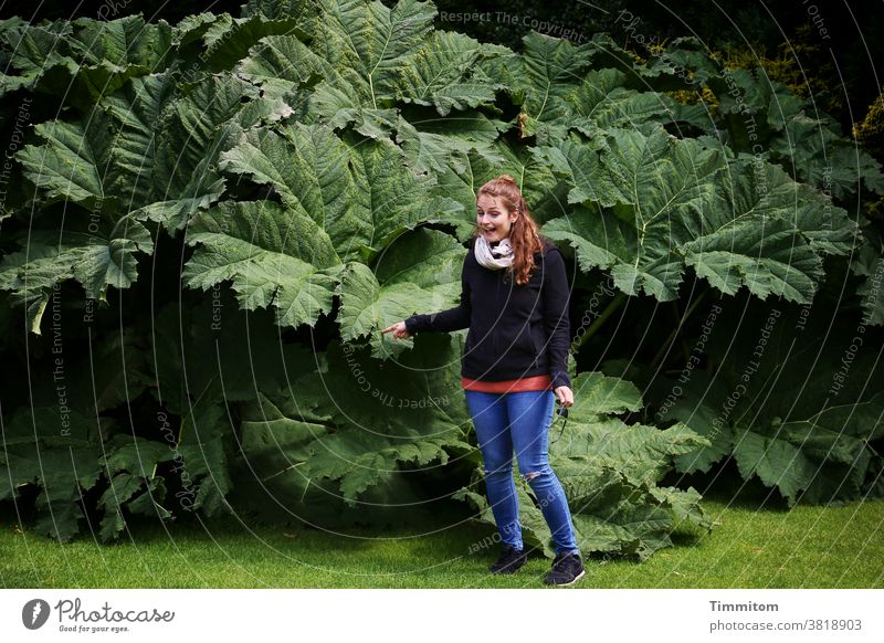 Wow - these are leaves huge Plant Green Woman Indicate Fingers Grass Lawn Park Yorkshire Nature Meadow Exterior shot Light Shadow cheerful fun Grimace