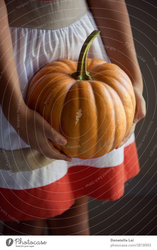 Girl holding pumpkin in her hands autumn childhood close up details girl indoor nature studio vegetable
